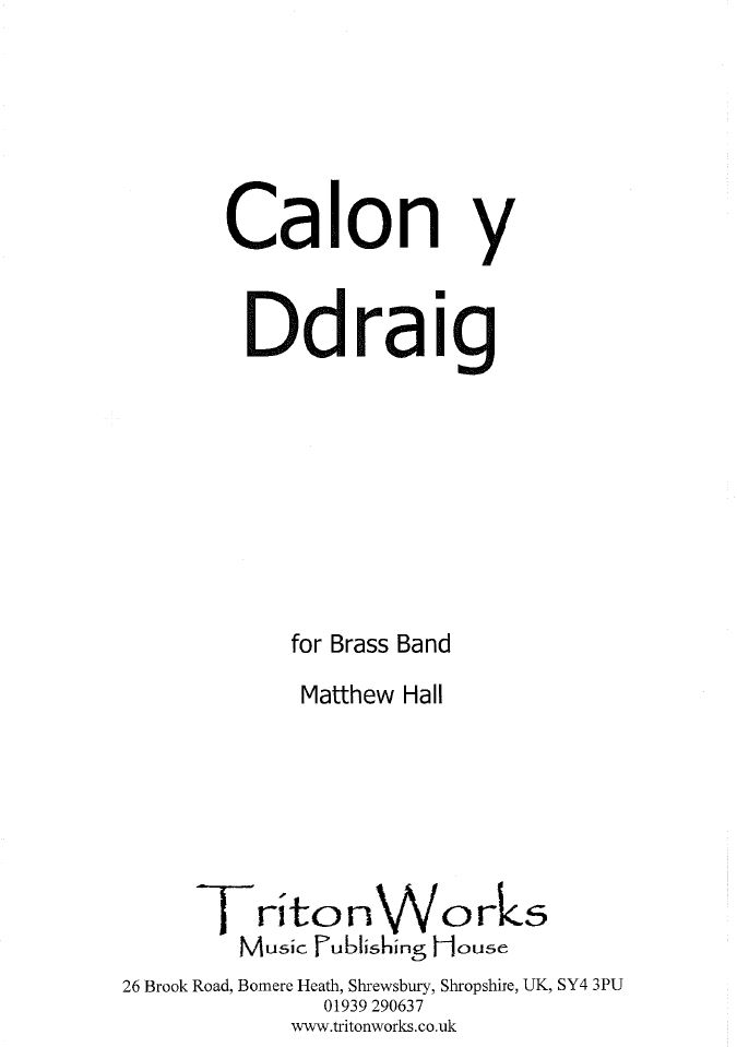 Heart of the Dragon (Calon y Ddraig)