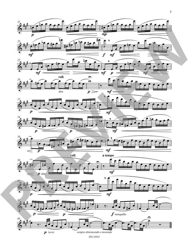 Der Fortschritt im Flötenspiel op.33 Band 2