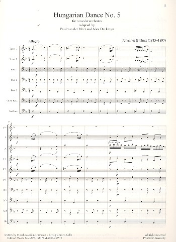 Ungarischer Tanz Nr.5