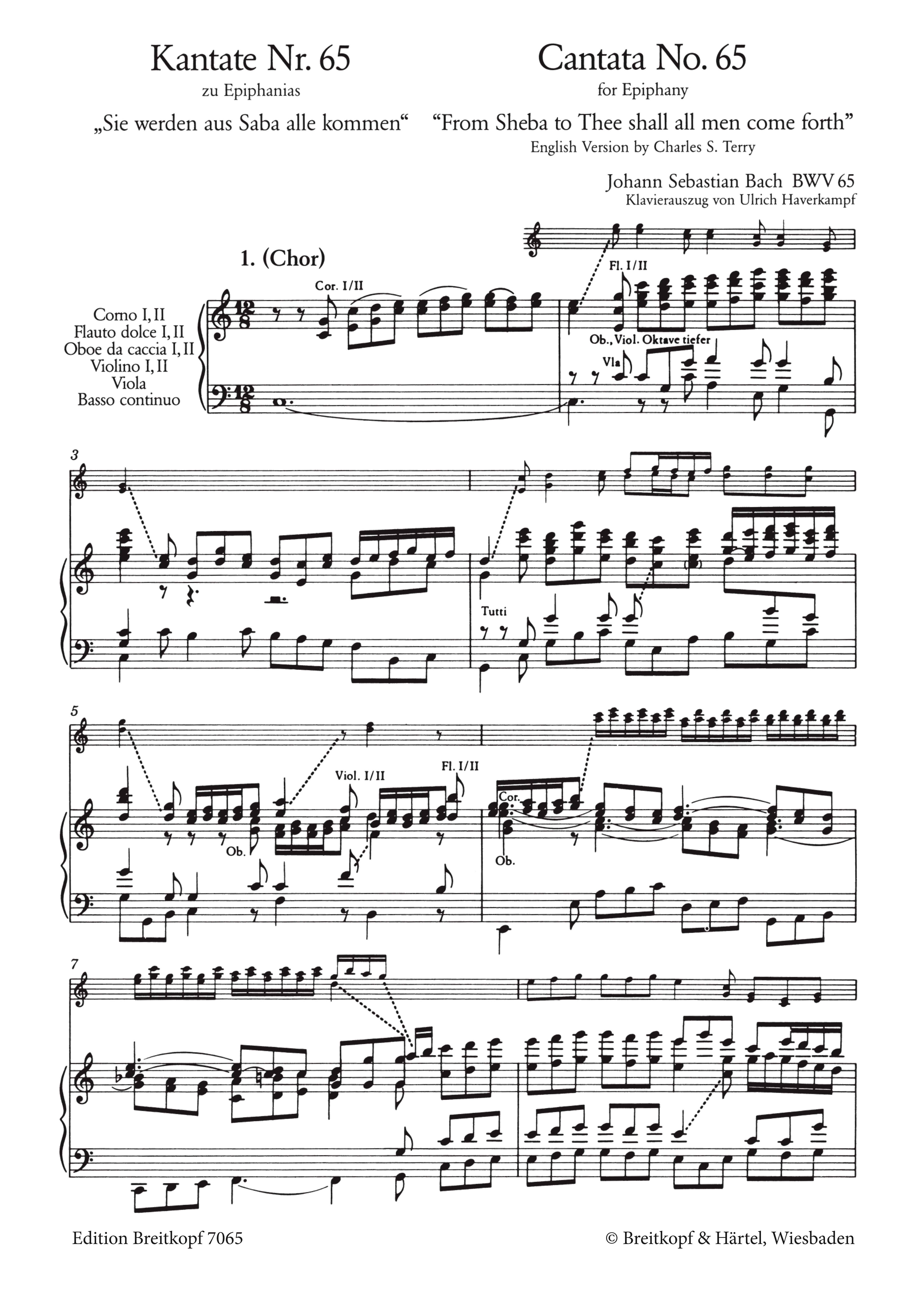 Sie werden aus Saba alle kommen