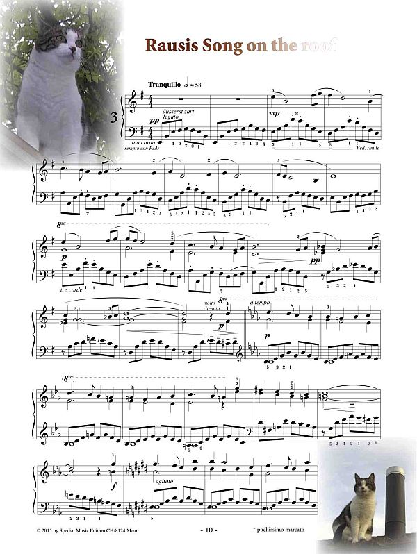 Cat Music no.2 - Rausi