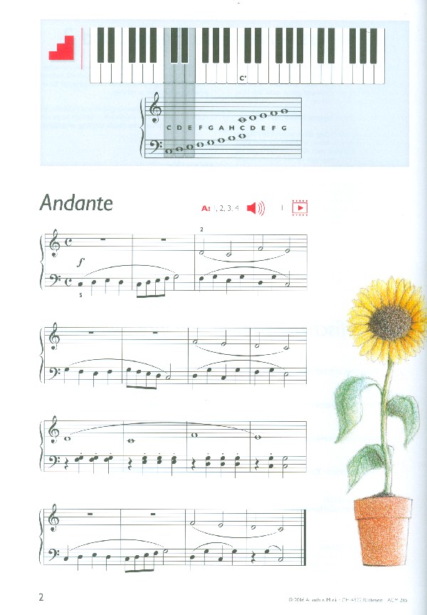 Flying Fingers Band 2 (+Online-Audio)