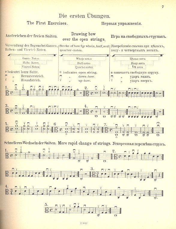 Schule für Viola