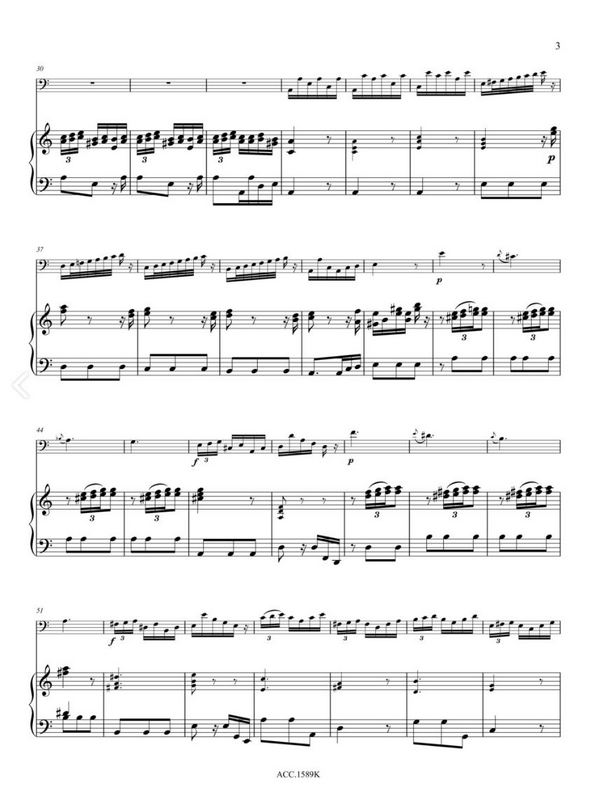 Konzert a-moll Nr.7 RV497 für Fagott, Streichorchester und Cembalo