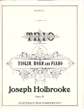 Trio in d minor op.28