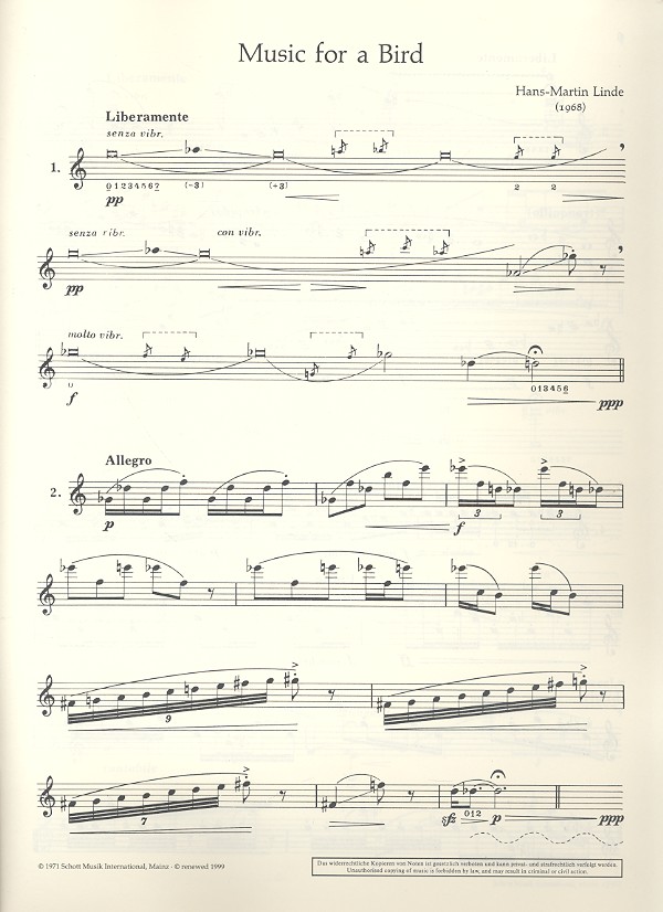 Music for a Bird
