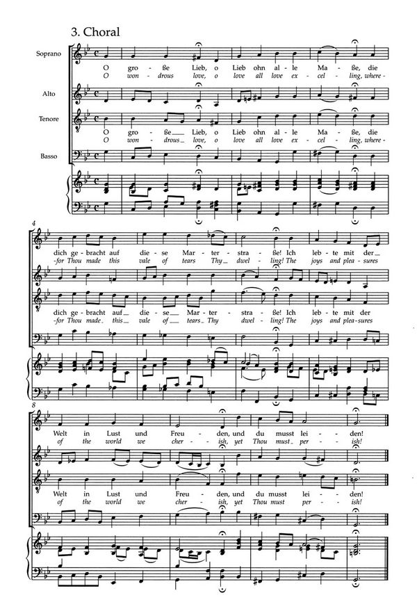 Johannes-Passion BWV245