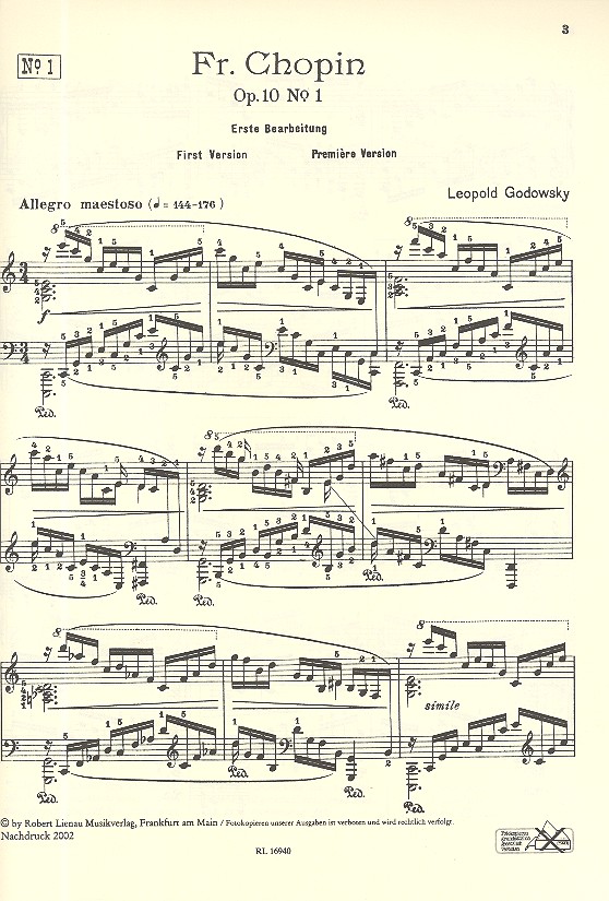 Studien über die Etüden von Chopin Band 1 (Nr.1-12a)
