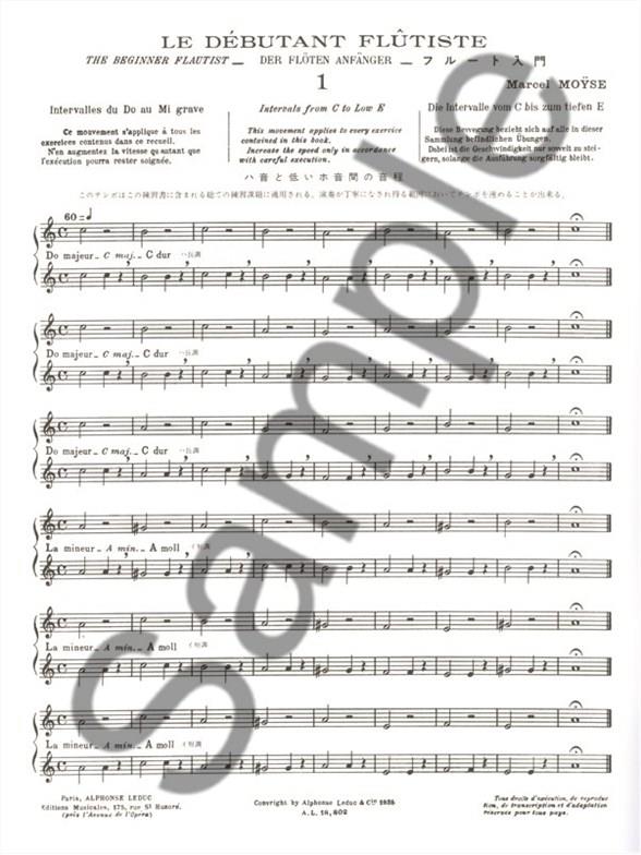 Le débutant flutiste (fr/dt/en)