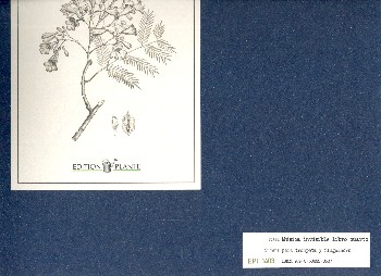 Música invisible libro quarto