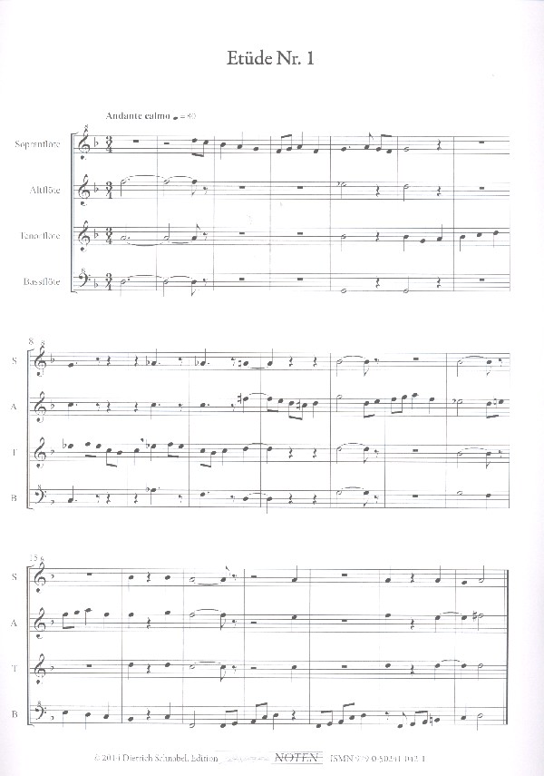 20 progressive Etüden