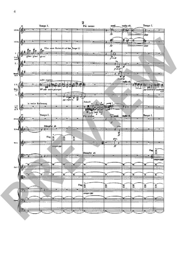 Sinfonie D-Dur Nr.1