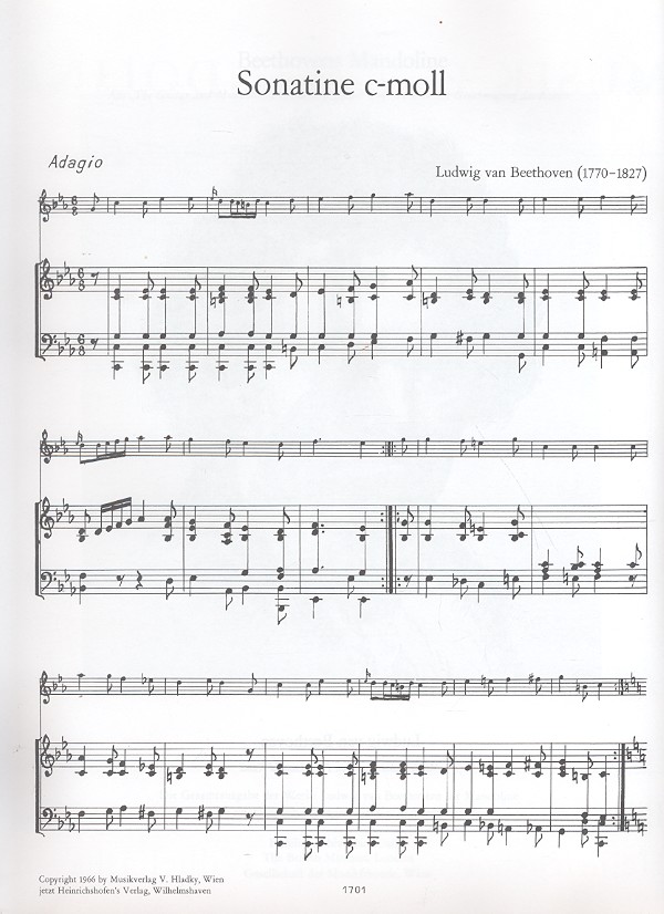Musik für Mandoline