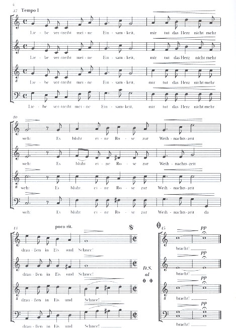 Es blüht eine Rose zur Weihnachtszeit