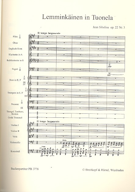 Lemminkäinen in Tuonela op.22,3