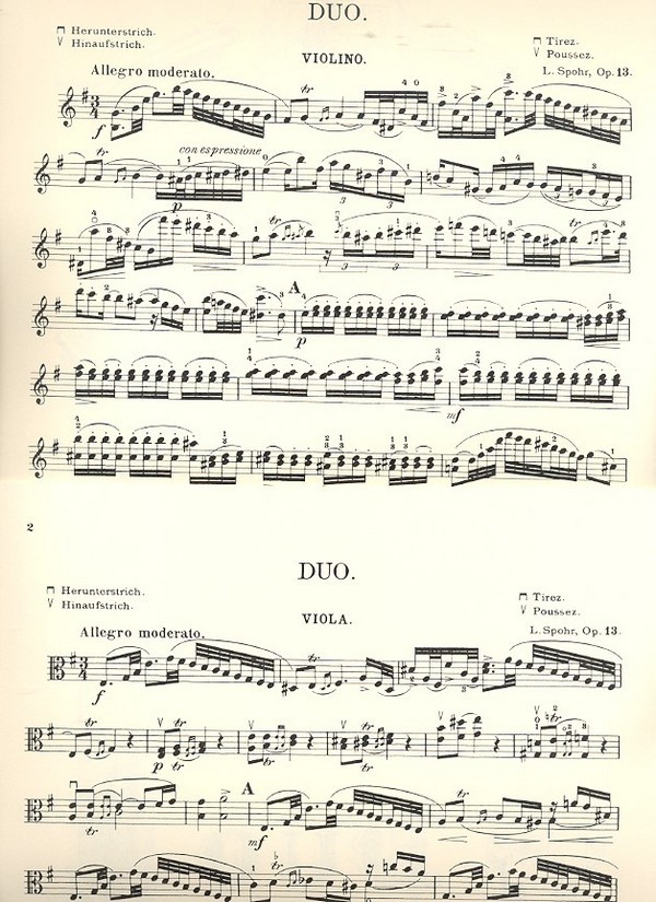 Duo op.13