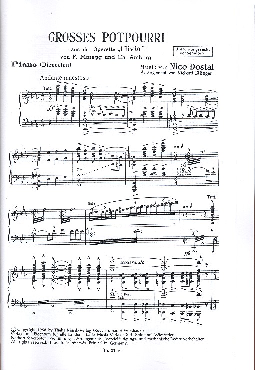 Großes Potpourri aus Clivia: