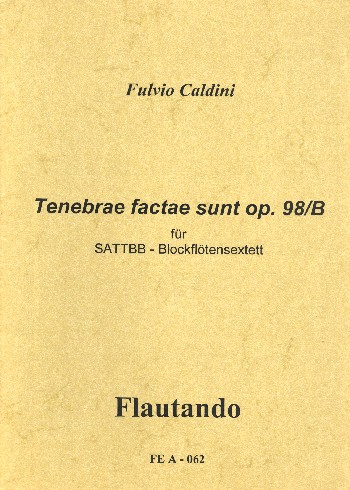 Tenebrae factae sunt op.98b