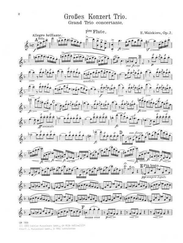 Großes Konzert-Trio op.2