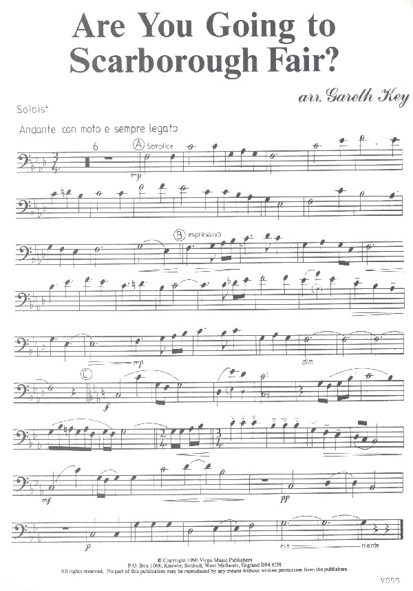 Are You going to Scarborough Fair