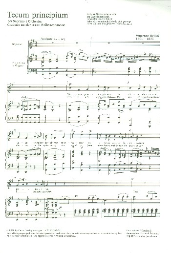 Tecum principium