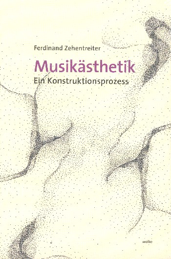 Zehentreiter Musikästhetik Konstruktionsprozess