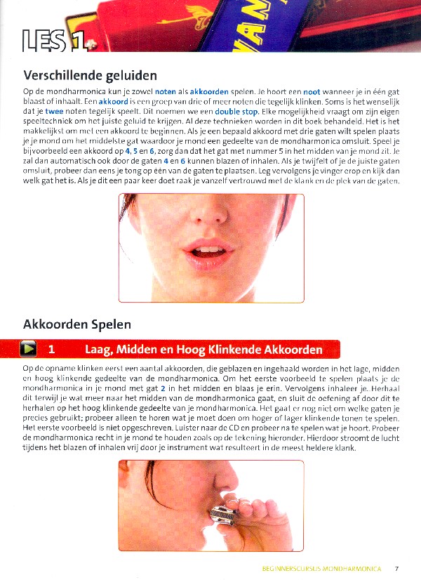 Beginnerscursus (+Media-Online)