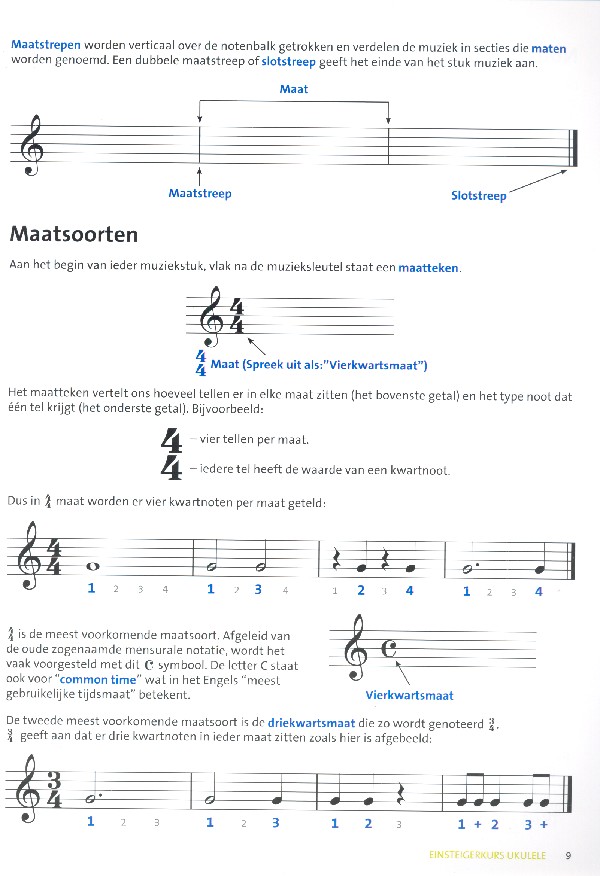 Beginnerscursus (+Media-Online)