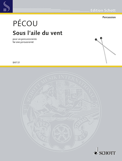 Sous l'aile du vent