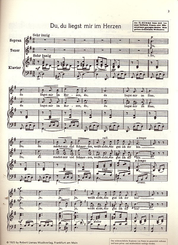 In einem kühlen Grunde Band 1