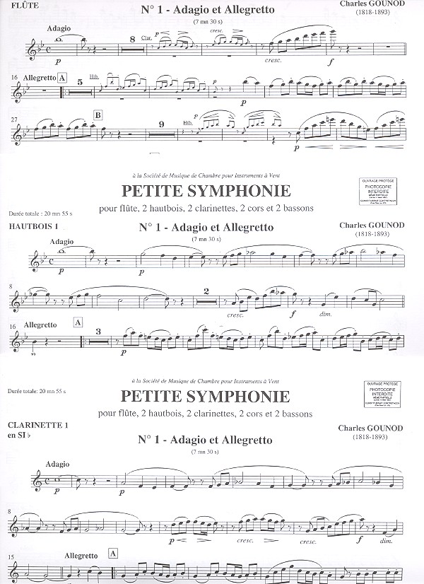 Petite symphonie