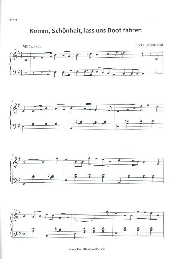 Das zauberhafte Fiedelorchester Band 11