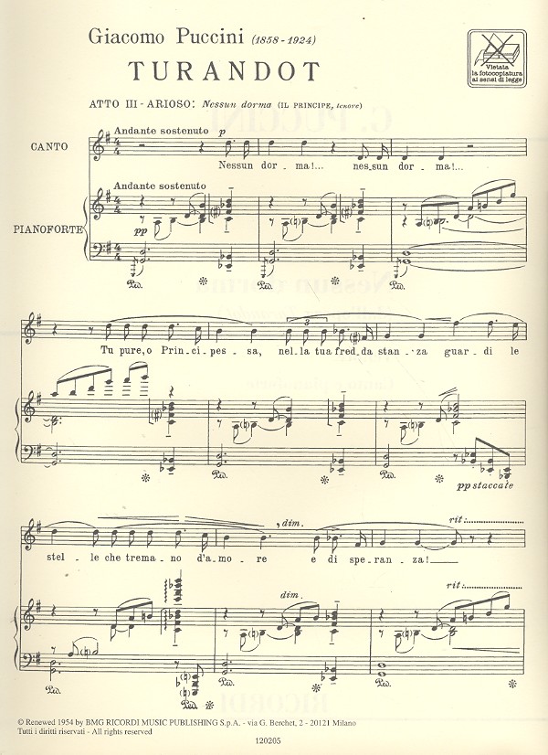 Nessun dorma für Tenor und