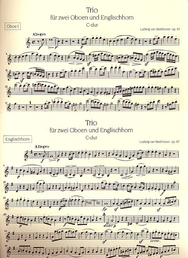 Trio C-Dur op.87