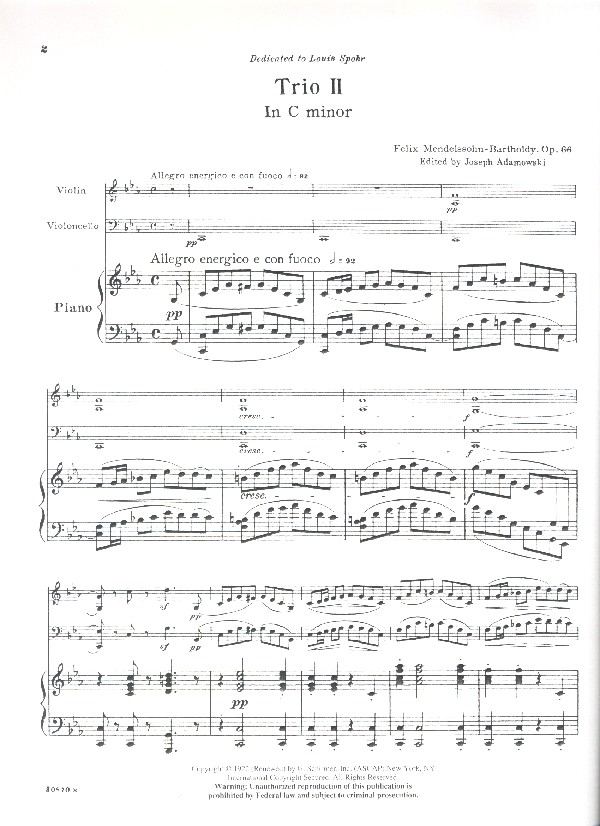 Trio in c minor op.66