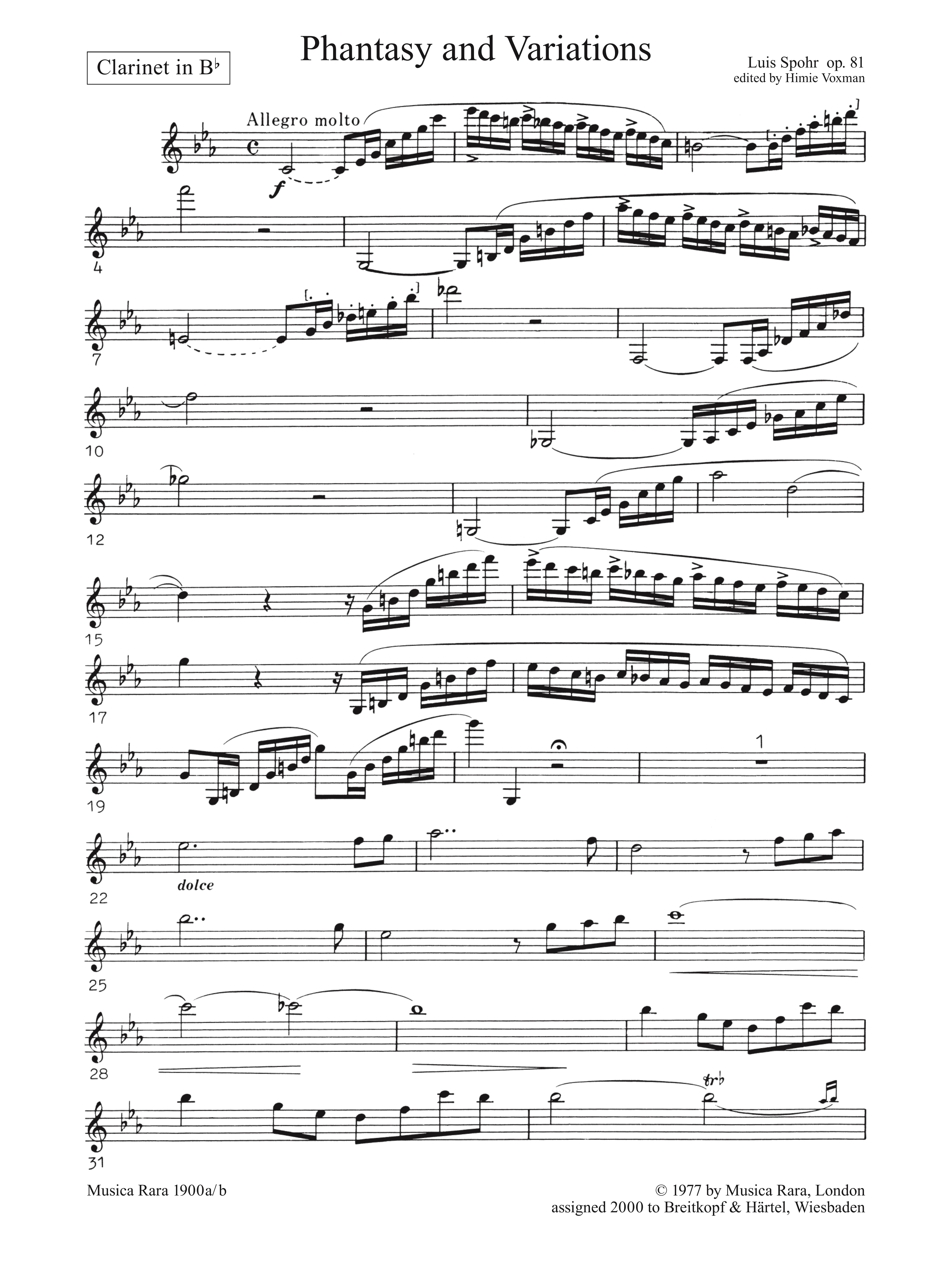 Fantasie und Variationen über ein Thema von Franz Danzi op.81