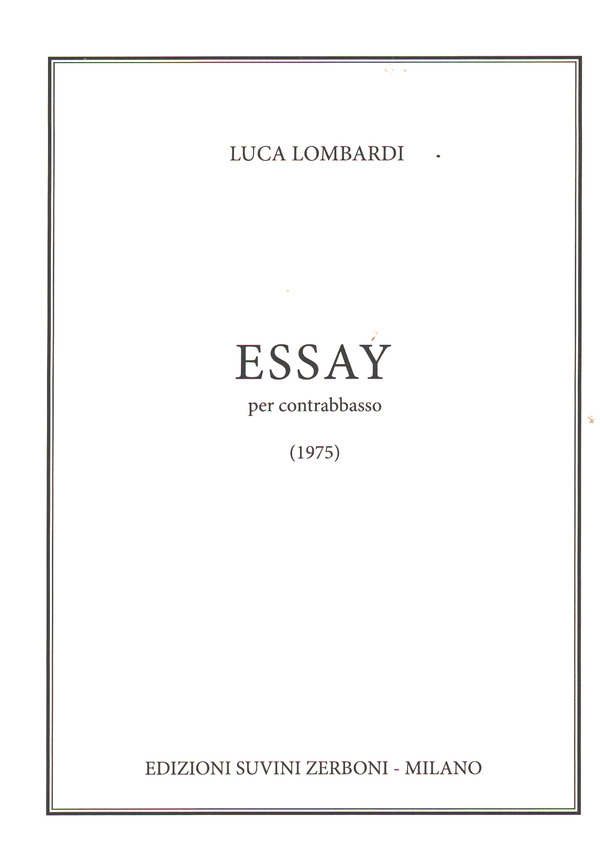 Essay