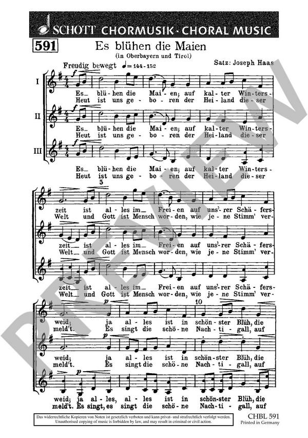 Es blühen die Maien