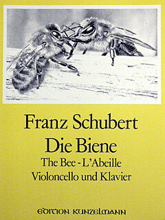 Die Biene
