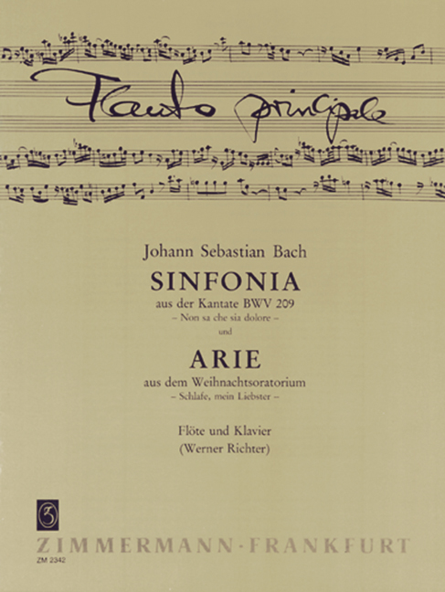 Sinfonia aus der Kantate BWV209 / Arie 'Schlafe mein Liebster'