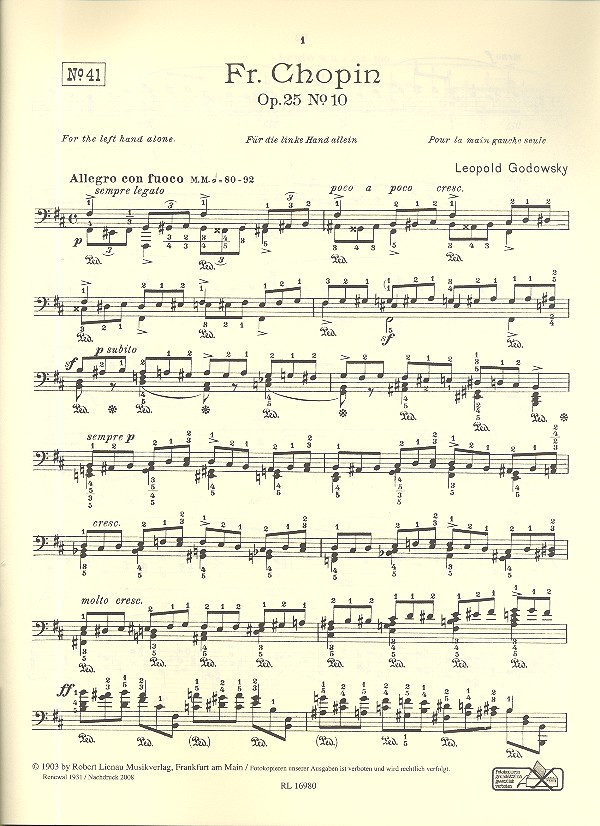 Studien über die Etüden von Chopin Band 5 (Nr.41-48)