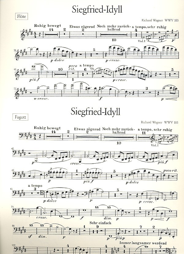 Siegfried-Idyll für Orchester