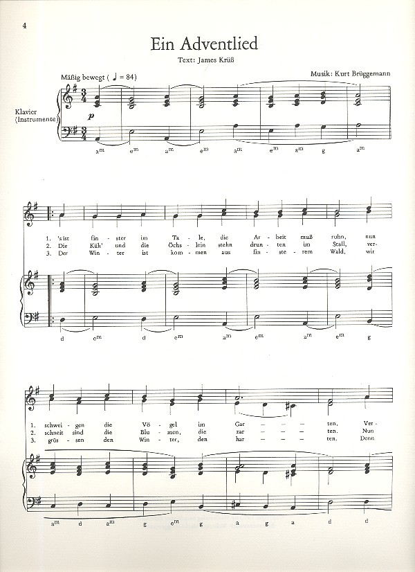 Nussknacker und Weihnachtsstern