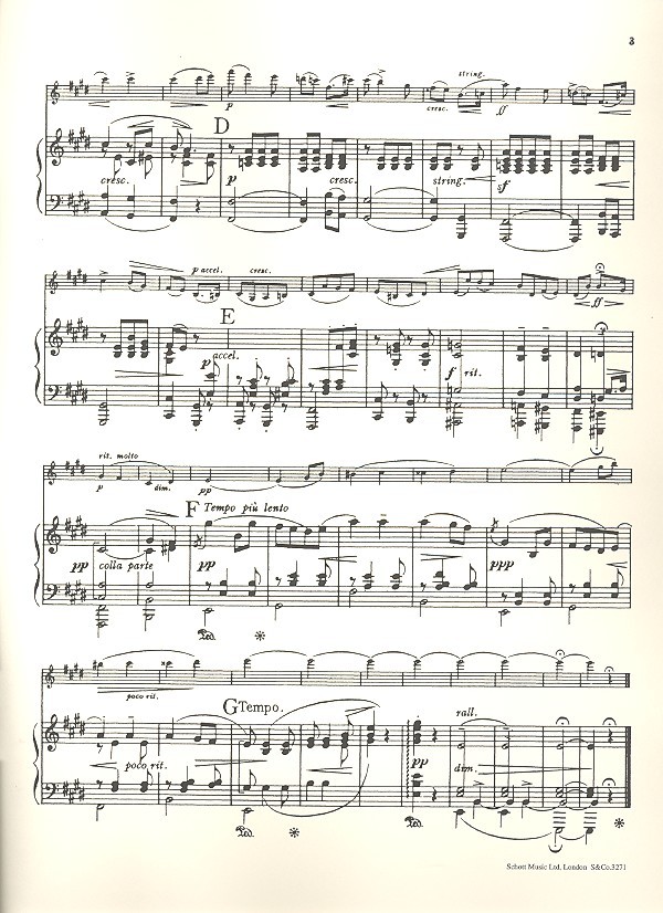 Salut d'amour op.12 (in E Major)