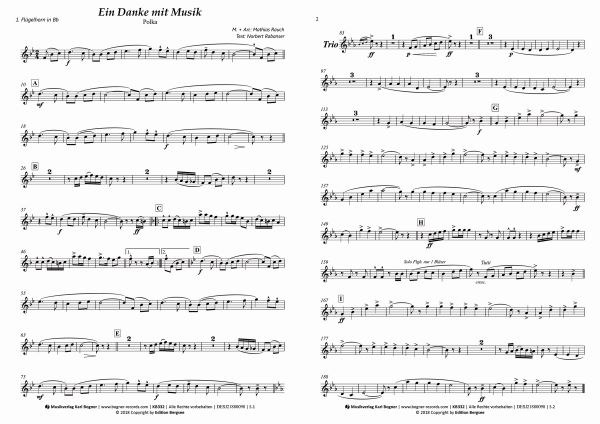 Ein Danke mit Musik (Polka)