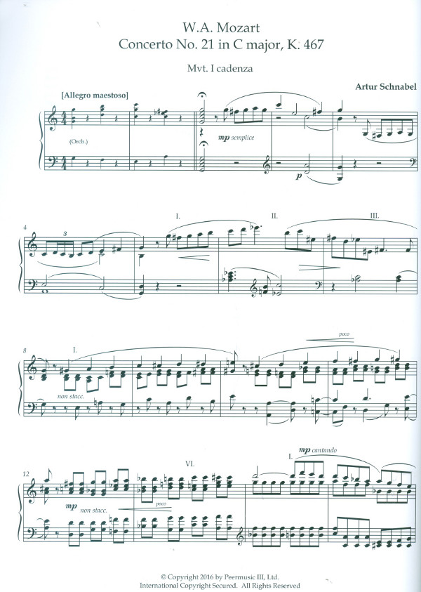 Cadenzas to W.A. Mozart's Piano Concertos