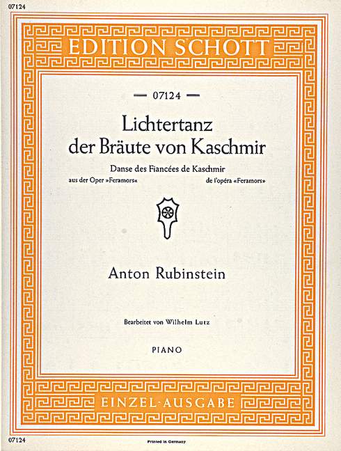 Lichtertanz der Bräute von Kaschmir