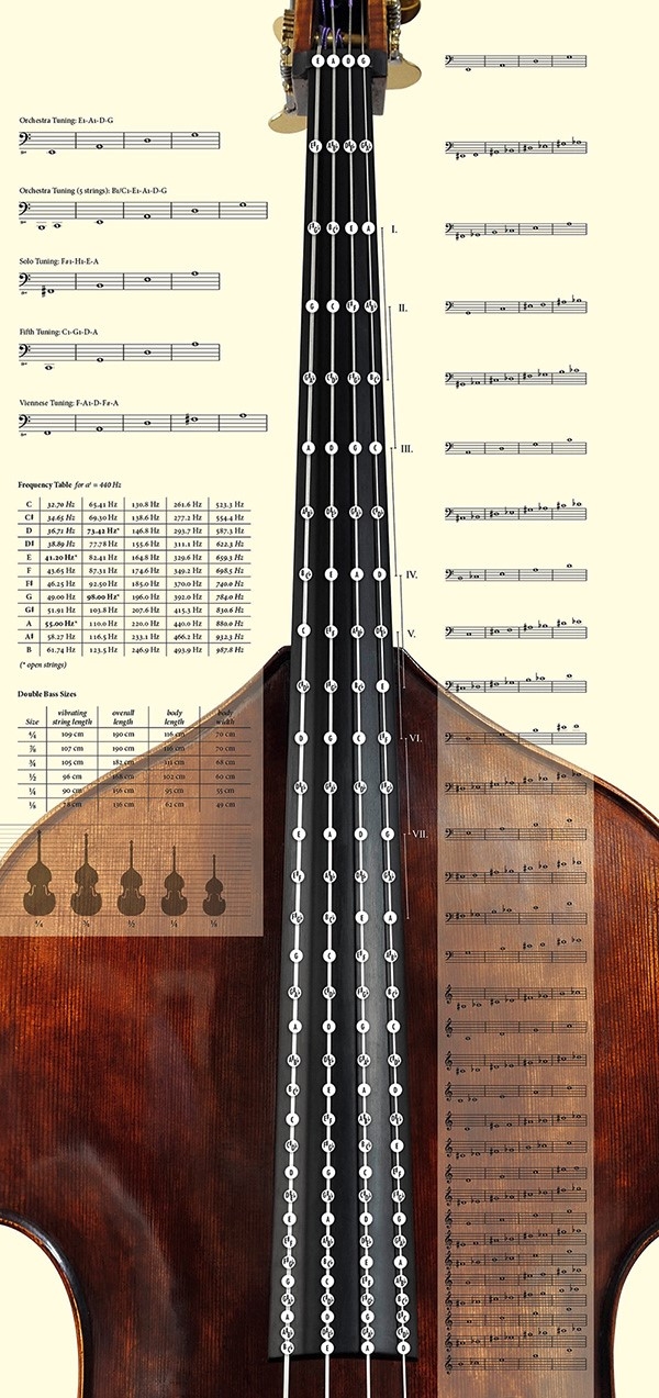 Double Bass Fingerboard and Cheat Sheet