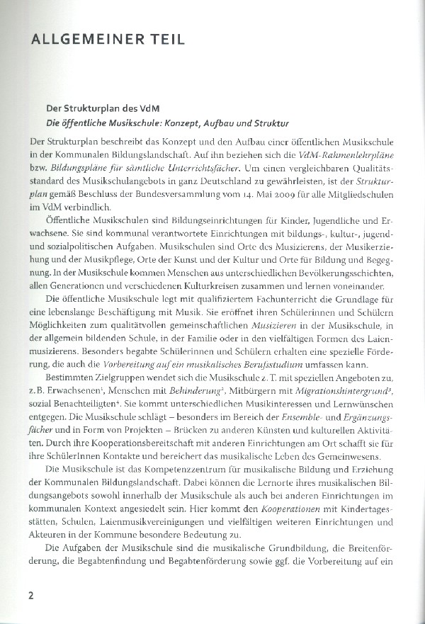 Lehrpläne des VDM - allgemeiner Teil (Stand 2013)