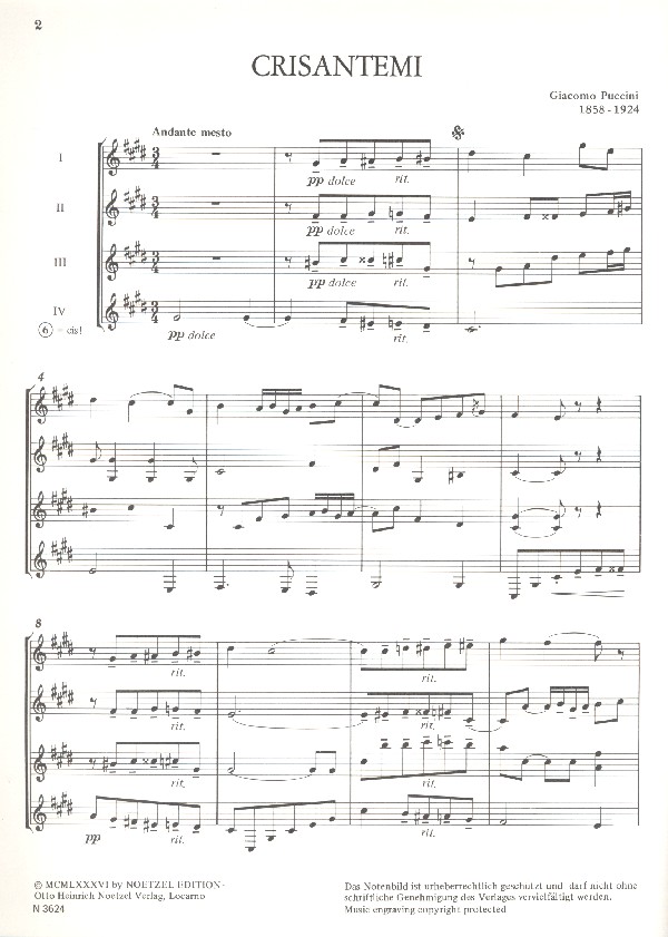 Crisantemi 